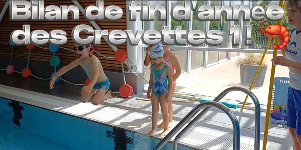 Bilan de fin d’année pour les Crevettes 1 !